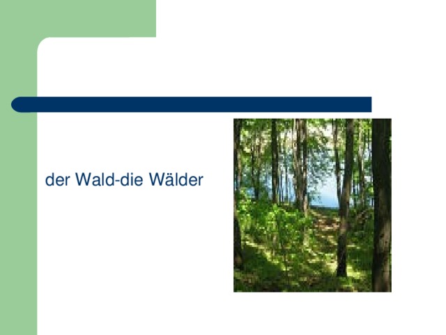 der Wald-die Wälder 