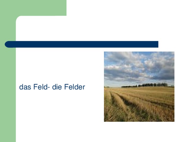 das Feld- die Felder 