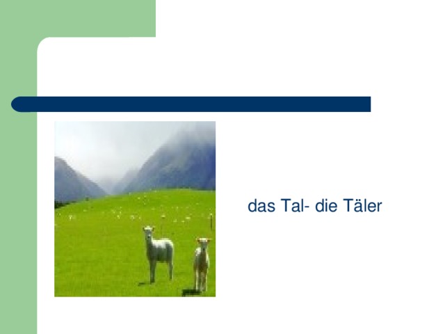  das Tal- die Täler 