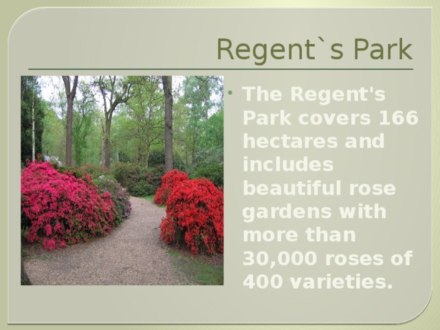 Regent`s Park The Regent's Park covers 166 hectares and includes beautiful rose gardens with more than 30,000 roses of 400 varieties. 