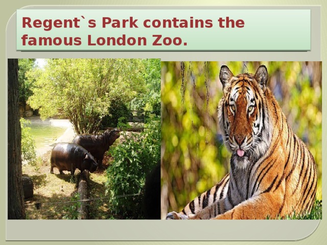 Regent`s Park contains the famous London Zoo. 