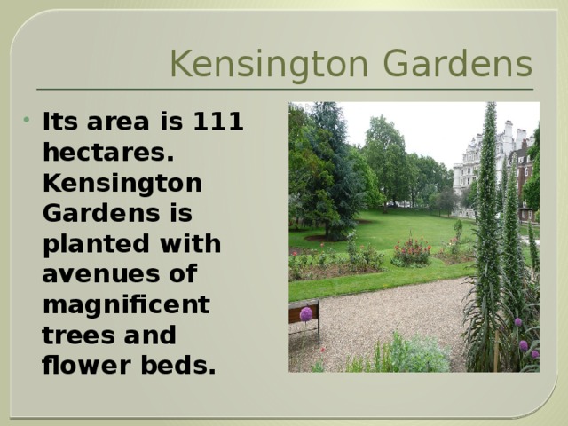 Kensington Gardens Its area is 111 hectares. Kensington Gardens is planted with avenues of magnificent trees and flower beds. 