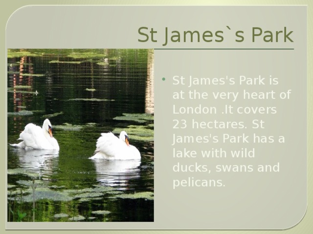 St James`s Park St James's Park is at the very heart of London .It covers 23 hectares. St James's Park has a lake with wild ducks, swans and pelicans. 