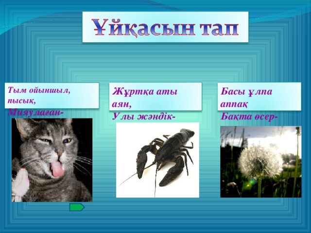 Тым ойыншыл, пысық, Мияулаған- Жұртқа аты аян, Улы жәндік- Басы ұлпа аппақ Бақта өсер-