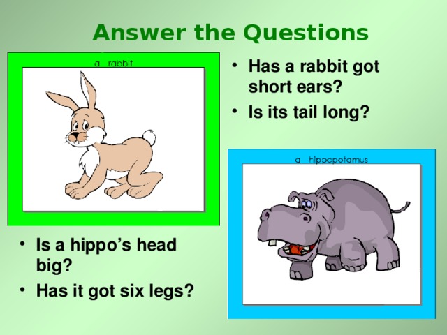 Answer the Questions Has a rabbit got short ears? Is its tail long? Is a hippo’s head big? Has it got six legs? 