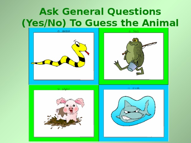 Ask General Questions (Yes/No) To Guess the Animal 