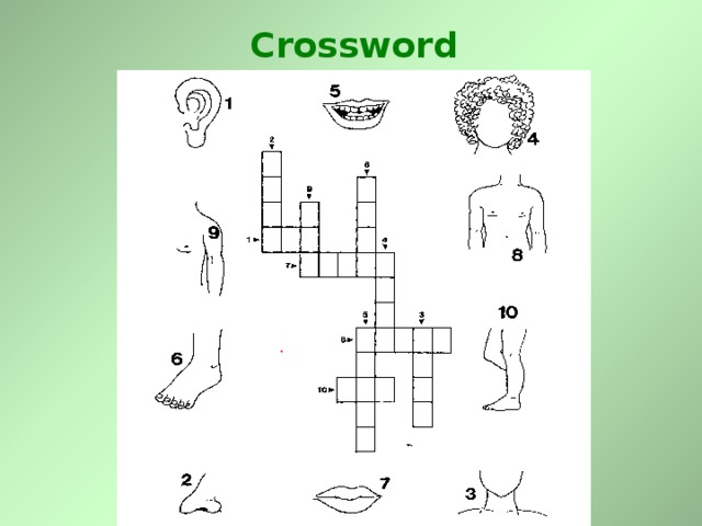 Crossword 