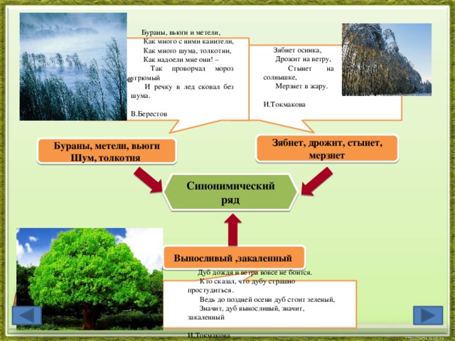  В.Берестов Бураны, вьюги и метели,  Как много с ними канители,  Как много шума, толкотни,  Как надоели мне они! –  Так проворчал мороз угрюмый  И речку в лед сковал без шума.  В.Берестов Зябнет осинка,  Дрожит на ветру,  Стынет на солнышке,  Мерзнет в жару.  И.Токмакова Зябнет, дрожит, стынет, мерзнет Бураны, метели, вьюги Шум, толкотня Синонимический ряд Выносливый ,закаленный Дуб дождя и ветра вовсе не боится.  Кто сказал, что дубу страшно простудиться.  Ведь до поздней осени дуб стоит зеленый,  Значит, дуб выносливый, значит, закаленный   И.Токмакова  