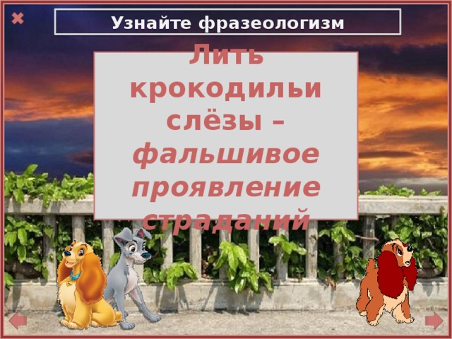 Узнайте фразеологизм  Лить крокодильи слёзы – фальшивое проявление страданий 