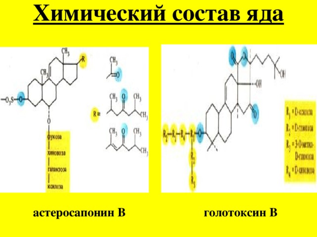 Химический состав простейших