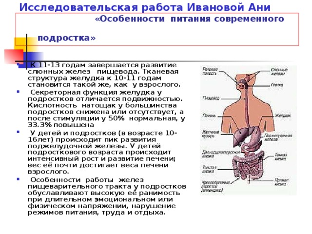 Исследовательская работа Ивановой Ани  «Особенности питания современного подростка»     К 11-13 годам завершается развитие слюнных желез пищевода. Тканевая структура желудка к 10-11 годам становится такой же, как у взрослого.  Секреторная функция желудка у подростков отличается подвижностью. Кислотность натощак у большинства подростков снижена или отсутствует, а после стимуляции у 50% нормальная, у 33.3% повышена  У детей и подростков (в возрасте 10-16лет) происходит пик развития поджелудочной железы. У детей подросткового возраста происходит интенсивный рост и развитие печени; вес её почти достигает веса печени взрослого.  Особенности работы желез пищеварительного тракта у подростков обуславливают высокую её ранимость при длительном эмоциональном или физическом напряжении, нарушение режимов питания, труда и отдыха. 