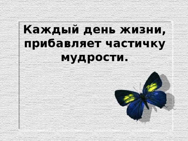 День жизни. Каждый день жизни прибавляет частичку. Каждый день жизни прибавляет нам частичку мудрости. Каждый день МВ прибавляес частичкумужрости.