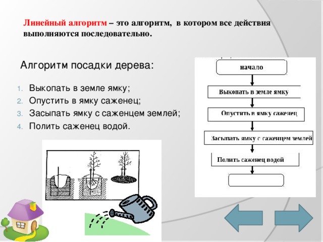 Линейный алгоритм – это алгоритм, в котором все действия выполняются последовательно. Алгоритм посадки дерева: Выкопать в земле ямку; Опустить в ямку саженец; Засыпать ямку с саженцем землей; Полить саженец водой. 