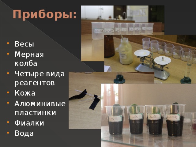 Приборы:   Весы Мерная колба Четыре вида реагентов Кожа Алюминивые пластинки Фиалки Вода 