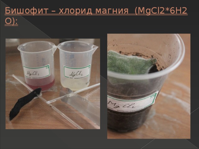 Бишофит – хлорид магния (MgCl2*6Н2 О): 