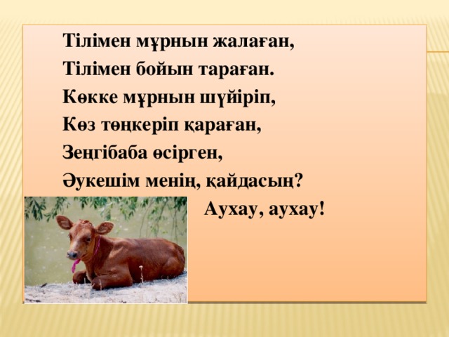 Тілімен мұрнын жалаған, Тілімен бойын тараған. Көкке мұрнын шүйіріп, Көз төңкеріп қараған, Зеңгібаба өсірген, Әукешім менің, қайдасың?  Аухау, аухау! 