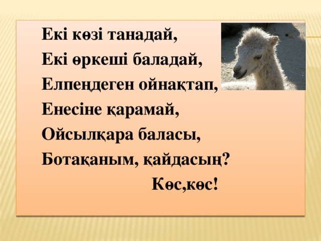 Екі көзі танадай, Екі өркеші баладай, Елпеңдеген ойнақтап, Енесіне қарамай, Ойсылқара баласы, Ботақаным, қайдасың? Көс,көс! 