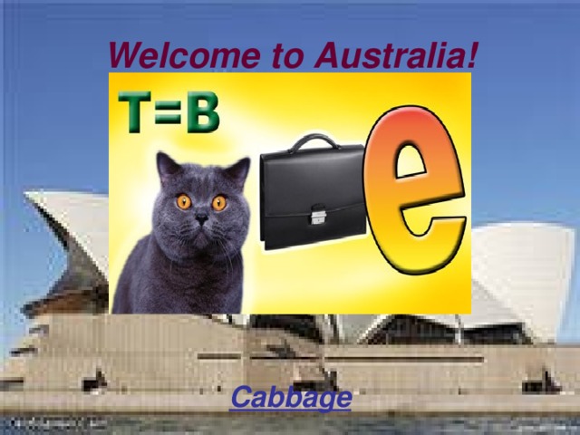 Welcome to Australia! Cabbage 