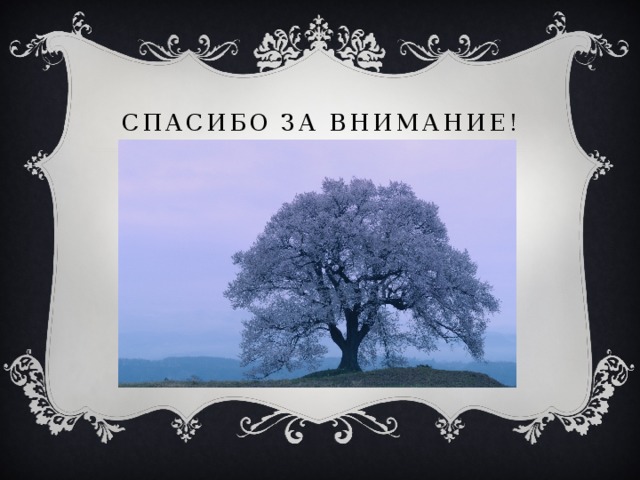 Спасибо за внимание! 