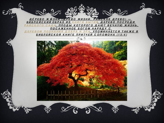 Де́рево жи́зни (древо жизни, райское древо) —  библейский  образ из  Книги Бытия , дерево посреди  райского сада , плоды которого дают вечную жизнь, посаженное Богом наряду с  Деревом познания Добра и Зла . Упоминается также в библейской Книге Притчей Соломона (15:4) 