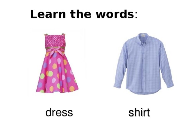 Learn the words : dress shirt