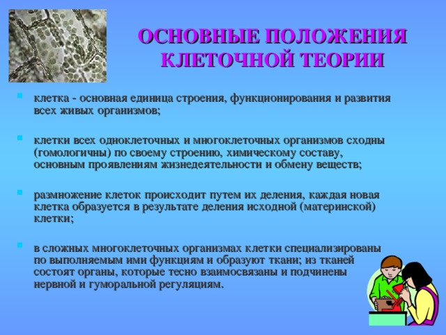 ОСНОВНЫЕ ПОЛОЖЕНИЯ  КЛЕТОЧНОЙ ТЕОРИИ