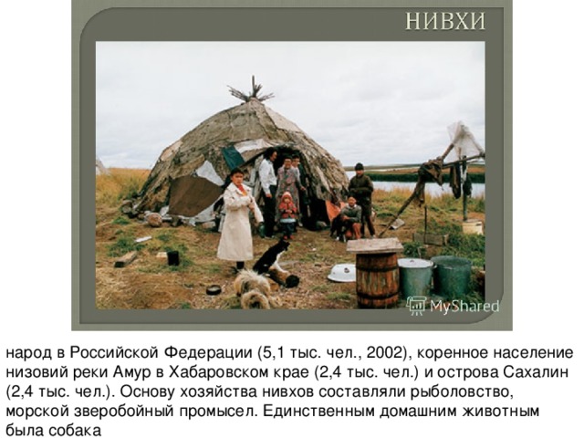 народ в Российской Федерации (5,1 тыс. чел., 2002), коренное население низовий реки Амур в Хабаровском крае (2,4 тыс. чел.) и острова Сахалин (2,4 тыс. чел.). Основу хозяйства нивхов составляли рыболовство, морской зверобойный промысел. Единственным домашним животным была собака 