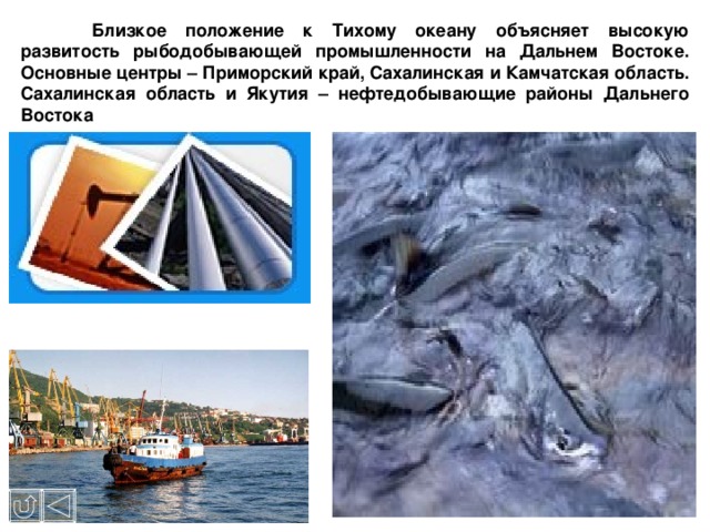  Близкое положение к Тихому океану объясняет высокую развитость рыбодобывающей промышленности на Дальнем Востоке. Основные центры – Приморский край, Сахалинская и Камчатская область. Сахалинская область и Якутия – нефтедобывающие районы Дальнего Востока 