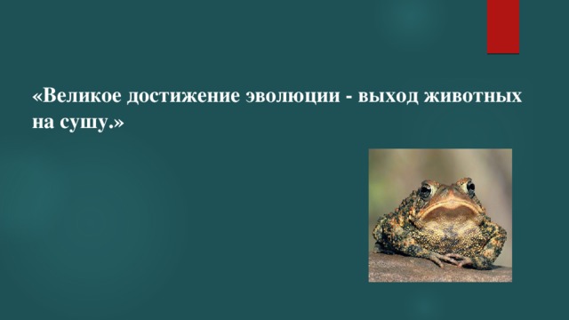 Достижение эволюции. Яд достижение эволюции. эволюция достижений. яйцо величайшее достижение эволюции.