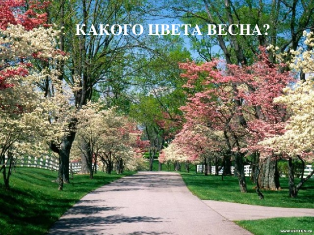 КАКОГО ЦВЕТА ВЕСНА? 