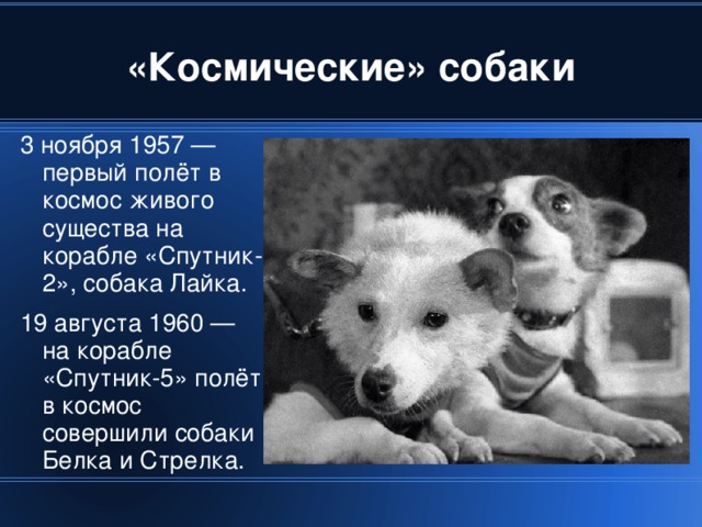 3 ноября 1957 — первый полёт в космос живого существа на корабле «Спутник-2», собака Лайка. 19 августа 1960 — на корабле «Спутник-5» полёт в космос совершили собаки Белка и Стрелка. 