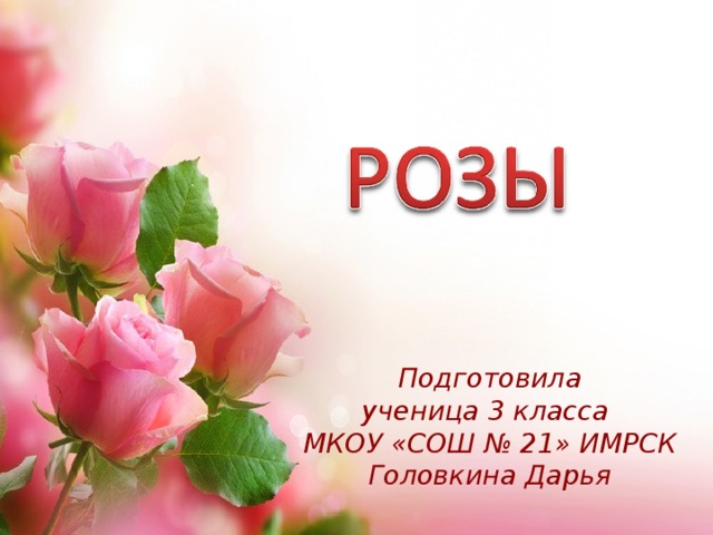 Подготовила ученица 3 класса МКОУ «СОШ № 21» ИМРСК Головкина Дарья 