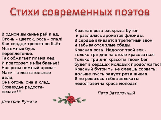 В одном дыханье рай и ад,  Огонь – цветок, роса – опал! Как сердце трепетное бьёт  Мятежных бурь переплетенье,  Так обжигает пламя лёд,  И повторяет в нём биенье! Нас розы нежный аромат  Манит в мечтательные дали,  Она огонь, она и хлад,  Созвездье радости-печали!!!   Дмитрий Румата Красная роза раскрыла бутон   и разлились ароматов флюиды.  В сердце вливается трепетный звон,  и забываются злые обиды. Красная роза! Недолог твой век -  только три дня на столе красоваться.  Только три дня красоты твоей бег  будет в сердцах молодых продолжаться. Красный бутон ты не смеешь сорвать:  дольше пусть радует  роза  живая.  Я не решаюсь тебя завлекать:  недолговечна краса молодая.   Петр Затолочный  