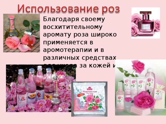 Благодаря своему восхитительному аромату роза широко применяется в аромотерапии и в различных средствах для ухода за кожей и волосами . 