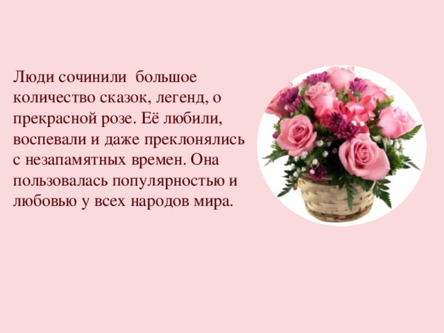 Люди сочинили большое количество сказок, легенд, о прекрасной розе. Её любили, воспевали и даже преклонялись с незапамятных времен. Она пользовалась популярностью и любовью у всех народов мира. 