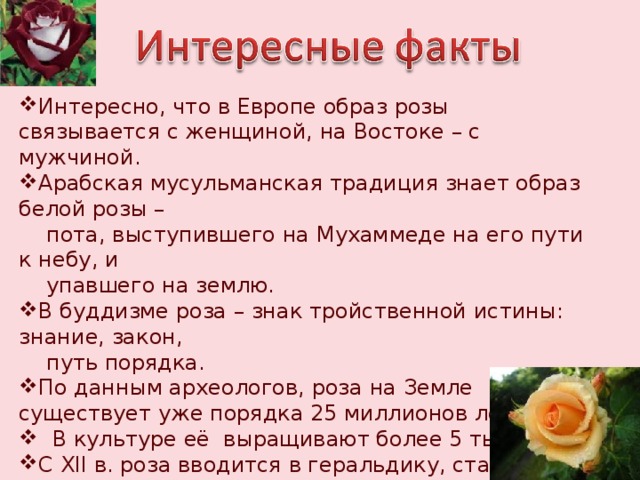 Интересно, что в Европе образ розы связывается с женщиной, на Востоке – с мужчиной. Арабская мусульманская традиция знает образ белой розы –  пота, выступившего на Мухаммеде на его пути к небу, и  упавшего на землю. В буддизме роза – знак тройственной истины: знание, закон,  путь порядка. По данным археологов, роза на Земле существует уже порядка 25 миллионов лет.  В культуре её выращивают более 5 тысяч лет. С XII в. роза вводится в геральдику, став одним из наиболее  устойчивых её знаков. В переводе с древнеперсидского «роза»  означает «дух» . 
