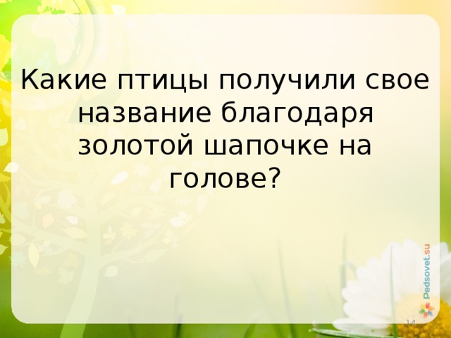 Какие птицы получили свое название благодаря золотой шапочке на голове?  