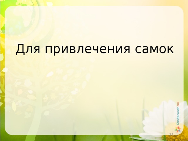 Для привлечения самок  