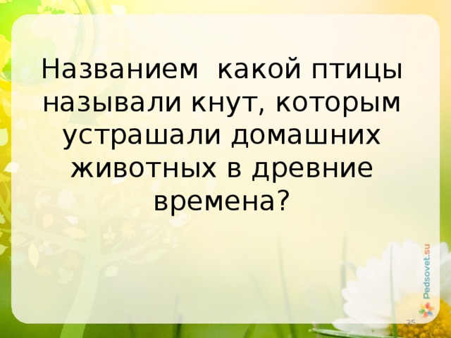 Названием какой птицы называли кнут, которым устрашали домашних животных в древние времена?  