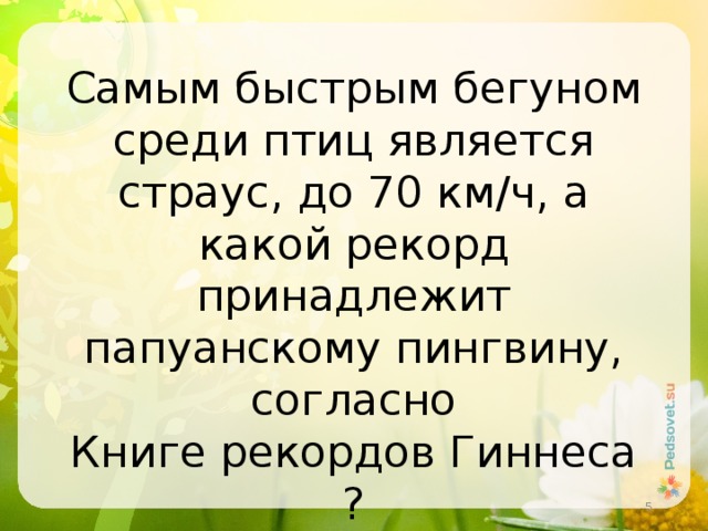 Самым быстрым бегуном среди птиц является страус, до 70 км/ч, а какой рекорд принадлежит папуанскому пингвину, согласно Книге рекордов Гиннеса?  