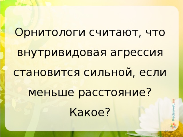 Орнитологи считают, что внутривидовая агрессия становится сильной, если меньше расстояние? Какое?  