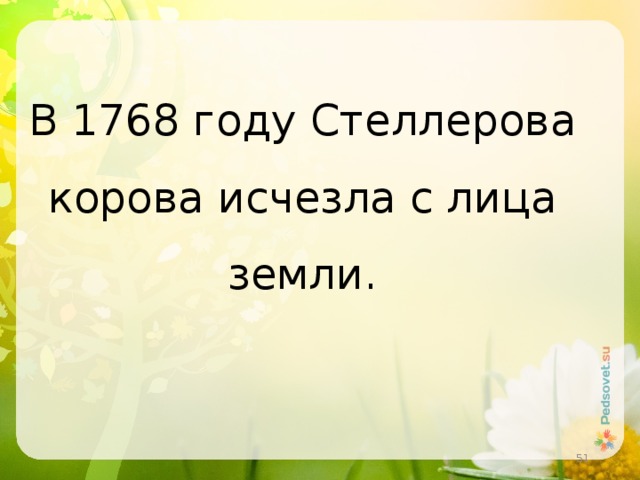 В 1768 году Стеллерова корова исчезла с лица земли.  