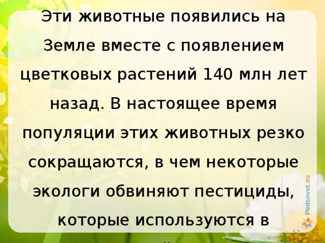 Эти животные появились на Земле вместе с появлением цветковых растений 140 млн лет назад. В настоящее время популяции этих животных резко сокращаются, в чем некоторые экологи обвиняют пестициды, которые используются в сельском хозяйстве. О каких животных идет речь?  