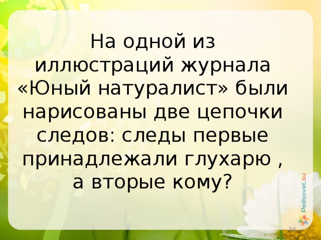 На одной из иллюстраций журнала «Юный натуралист» были нарисованы две цепочки следов: следы первые принадлежали глухарю , а вторые кому?  