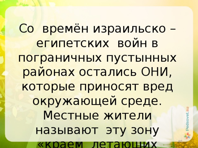 Со времён израильско – египетских войн в пограничных пустынных районах остались ОНИ, которые приносят вред окружающей среде. Местные жители называют эту зону «краем летающих верблюдов». Назовите их?  