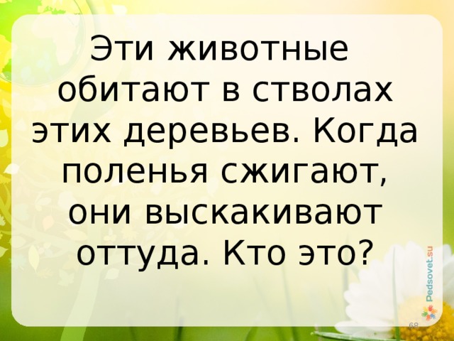 Эти животные обитают в стволах этих деревьев. Когда поленья сжигают, они выскакивают оттуда. Кто это?  