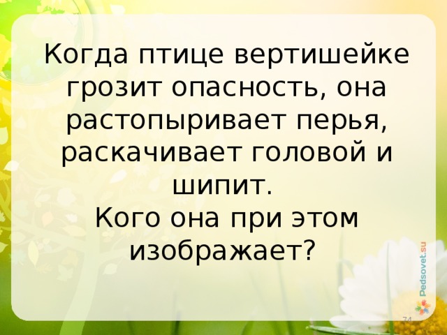 Когда птице вертишейке грозит опасность, она растопыривает перья, раскачивает головой и шипит. Кого она при этом изображает?     