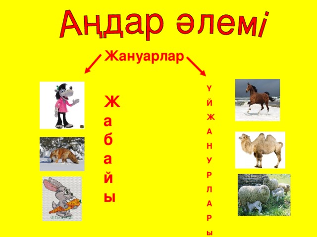 Жануарлар Ү Й Ж А Н У Р Л А Р ы Жабайы 
