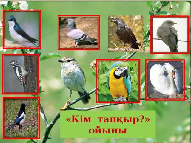 «Кім тапқыр?» ойыны  