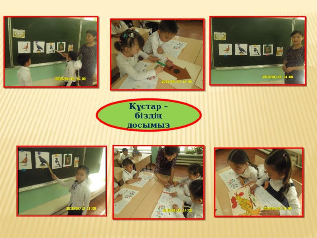 Құстар – біздің досымыз 